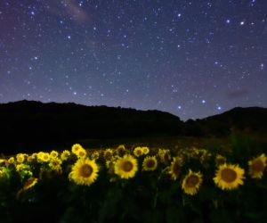 613c5ca50eb513aca5ea10a73d3525