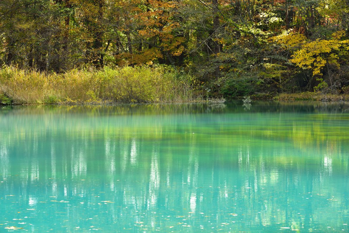神秘的な色 自然 風景 湖沼 Ganref