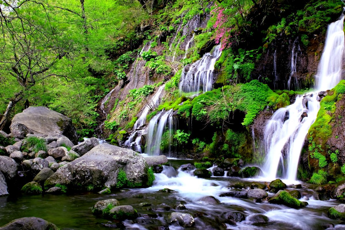 吐竜の滝 自然 風景 滝 Ganref