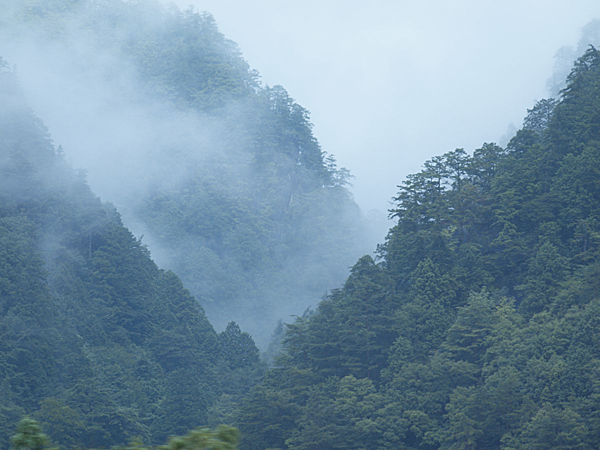 山奥の霧 自然 風景 山 Ganref