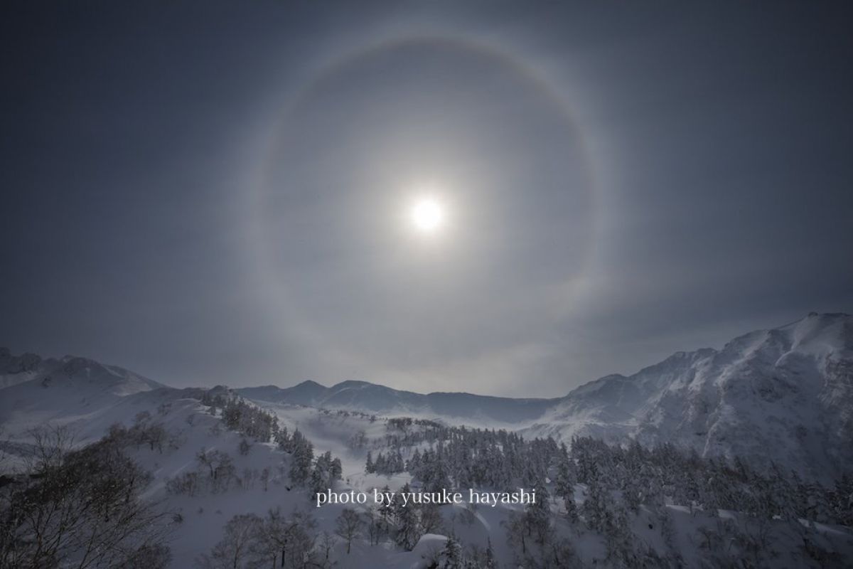 自然写真家 林 祐介さんのポートフォリオ | GANREF