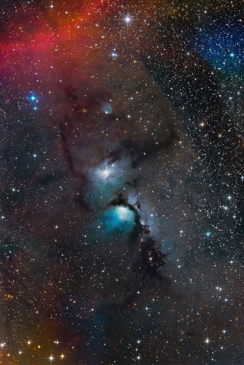 M78星雲 ユークリッド宇宙望遠鏡が撮影した“オリオン座”の反射星雲「M78」