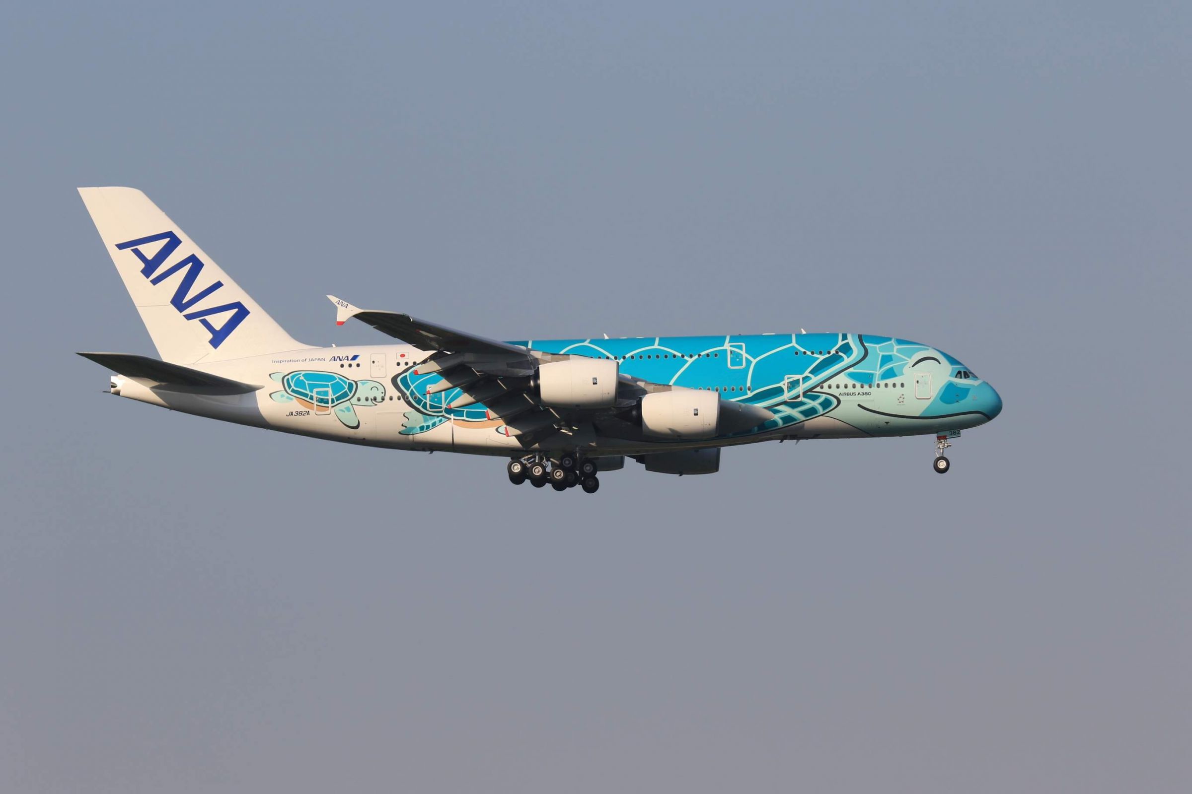 ANA FRYING HONU カイくん(2号機)セット