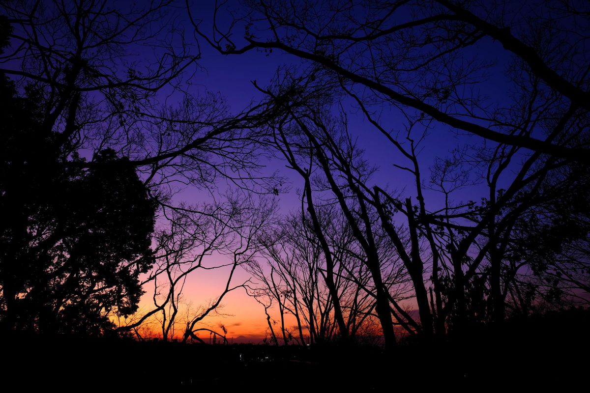 Sunset #2 | GANREF