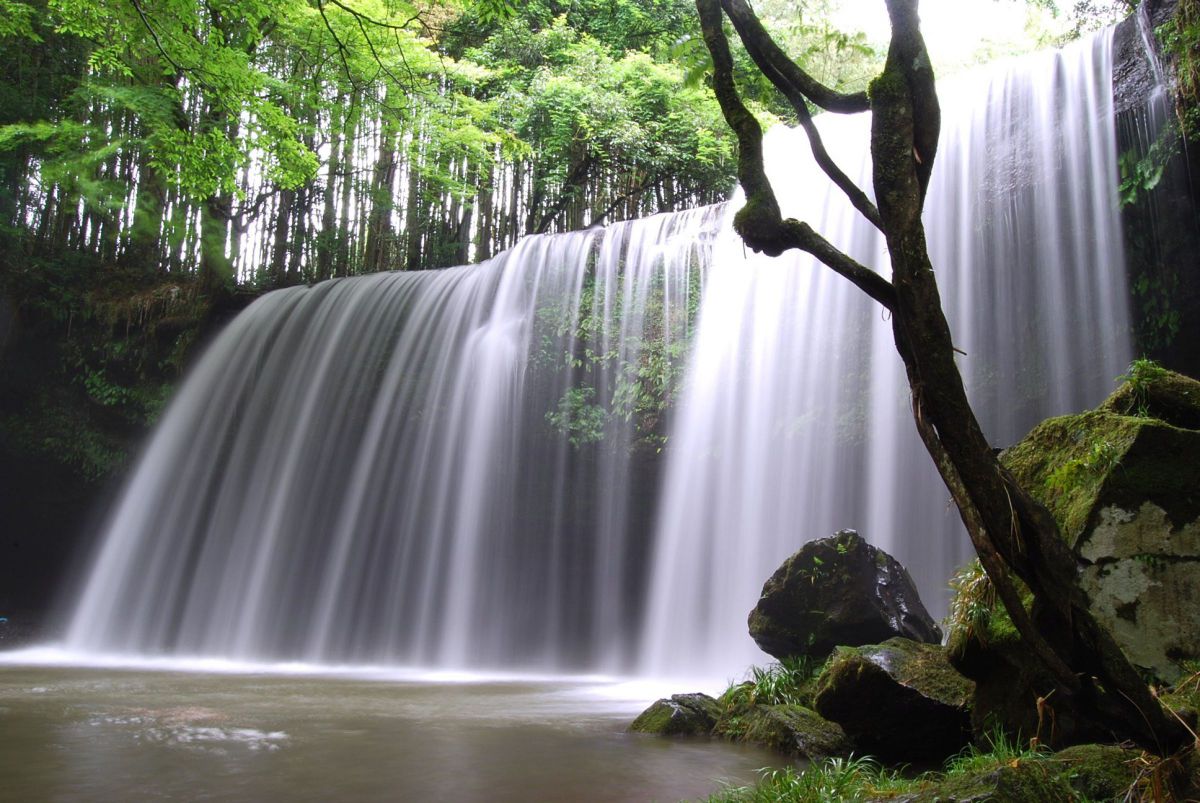 D40Xで撮影された写真 | 写真検索 | GANREF