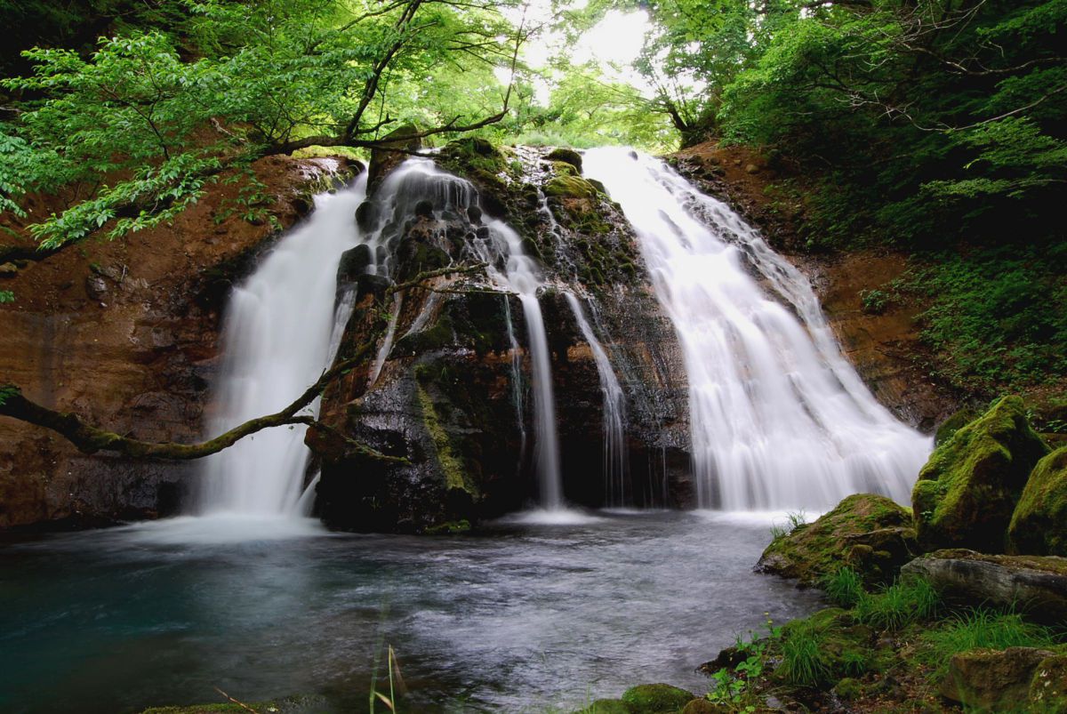 D40Xで撮影された写真 | 写真検索 | GANREF