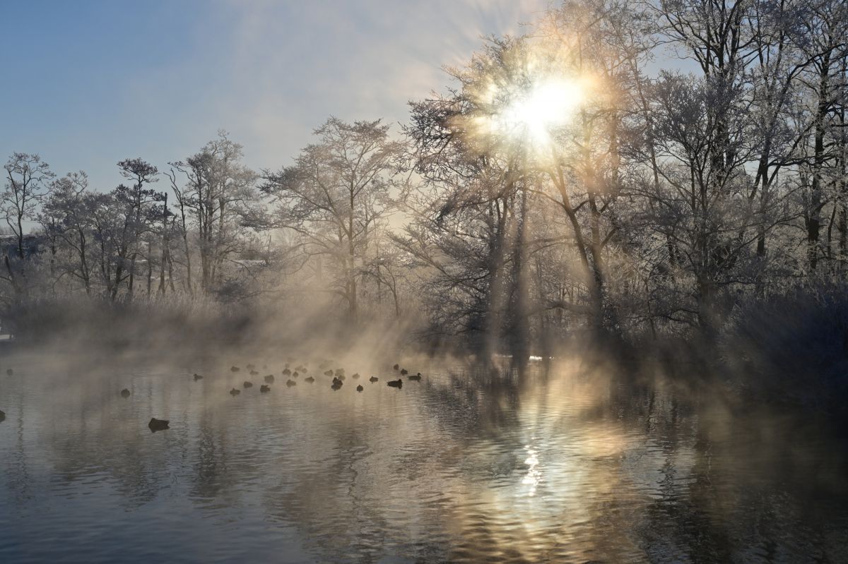 ニコン Z7 星景、天の川他 | GANREF