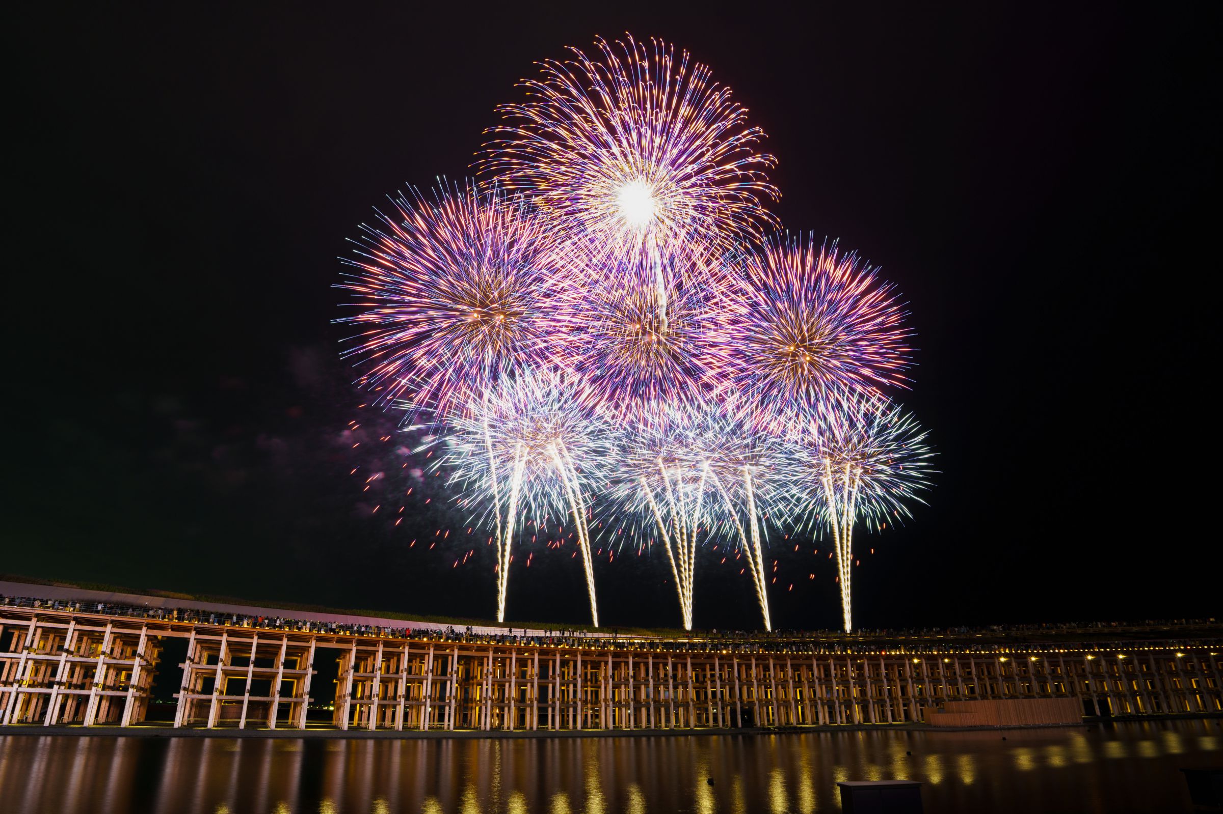 大屋根リングを彩る、双葉が紡ぐ再生の花火 | GANREF