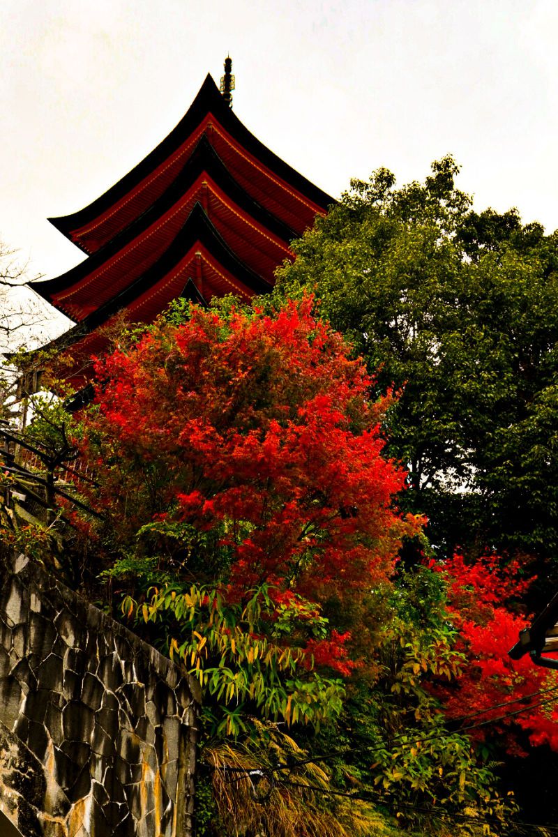 Red | GANREF