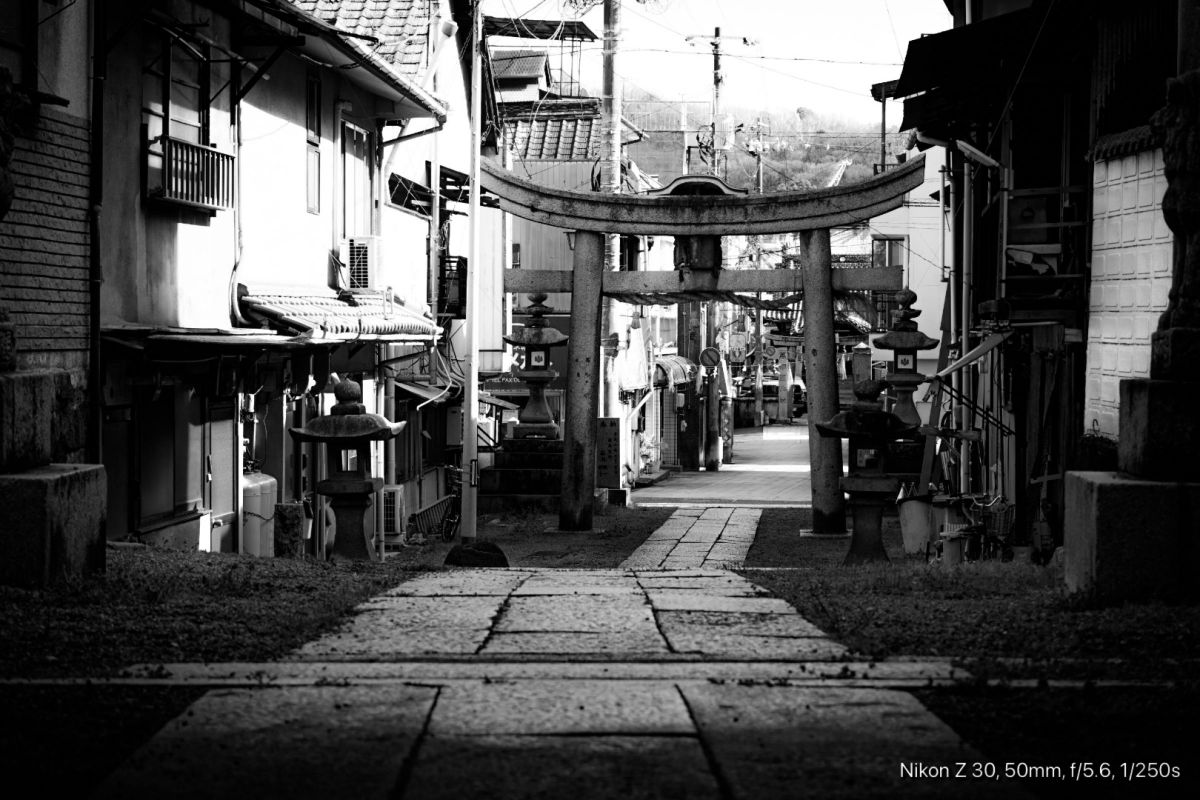 Z 30で撮影された写真 | 写真検索 | GANREF