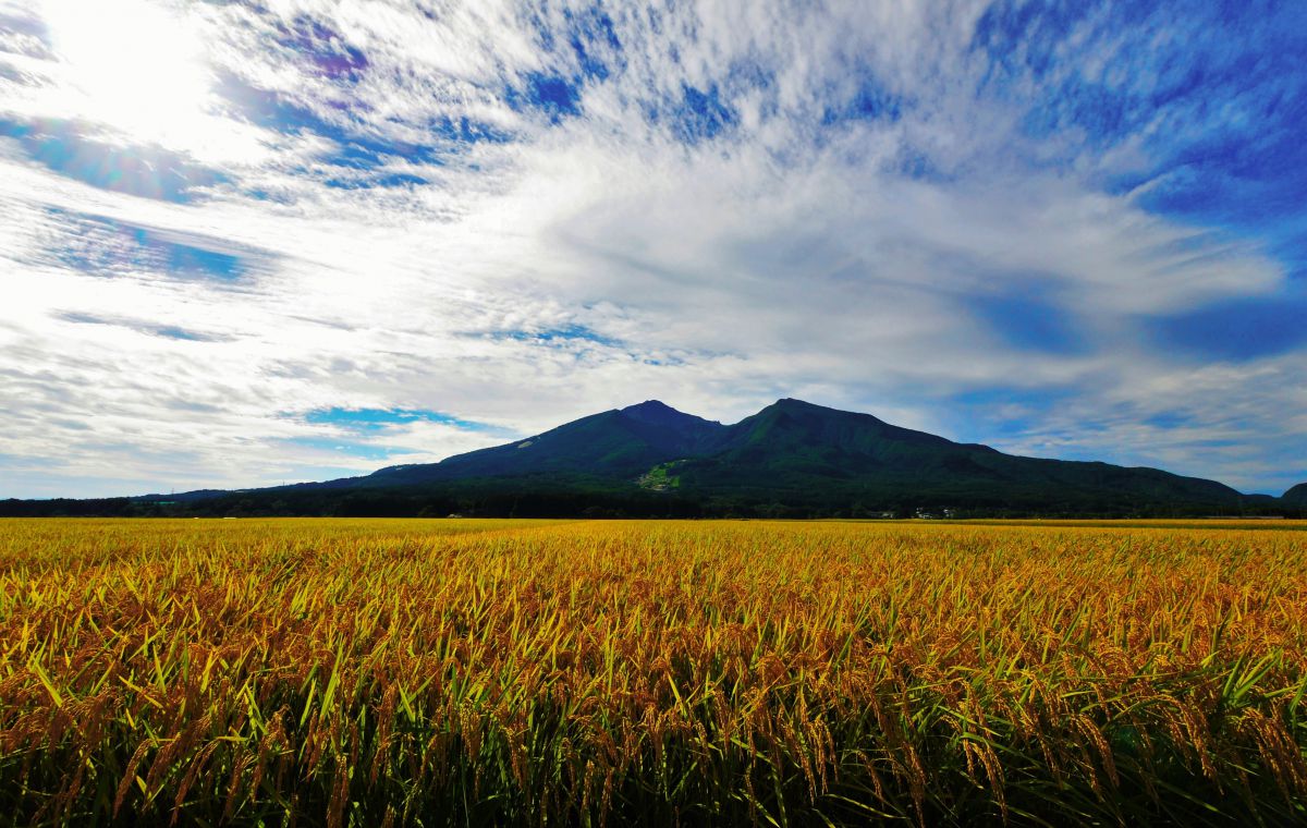 実りの秋 自然 風景 大地 Ganref