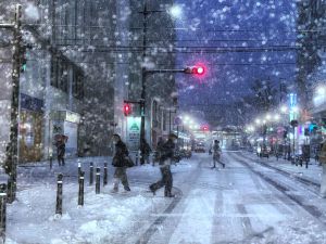 ミッシェルドラクロア『雪の降る街』 ミッシェル・ドラクロアの『雪の降る街』の通販 by four wind