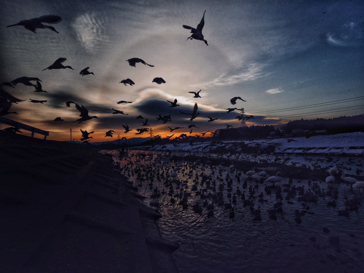 LUMIX G VARIO 7-14mm/F4.0 ASPH.で撮影された写真 | 写真検索 | GANREF