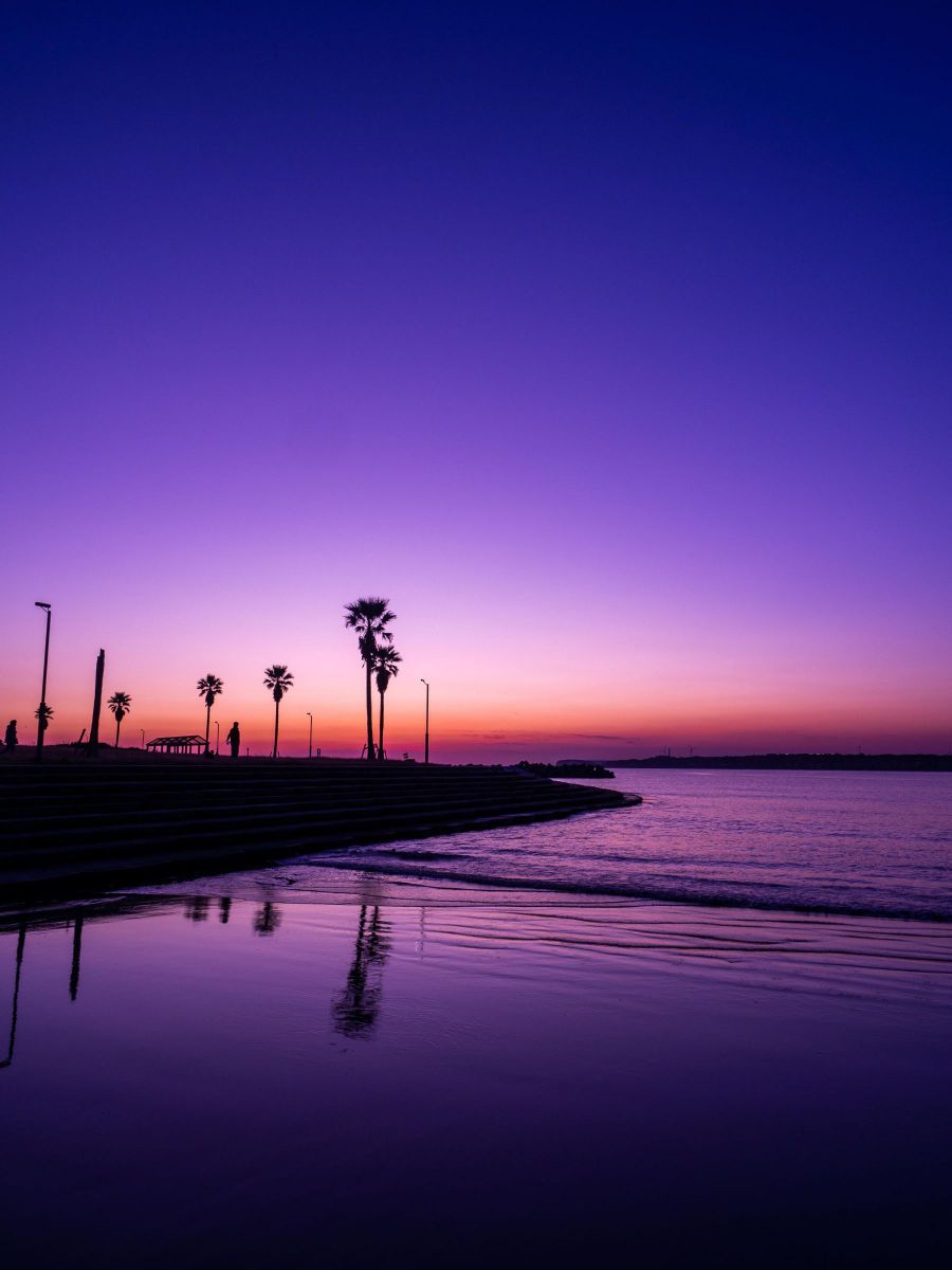 マジックアワー GANREF