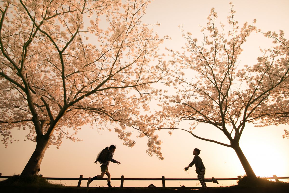 ❤Canon EOS 70D❤高速AF＆連写で瞬間撮影❤輝くお子様の瞬間を撮影❤ ❤Canon EOS 70D❤輝くお子様の瞬間を撮影❤高速AF＆連写で瞬間撮影❤