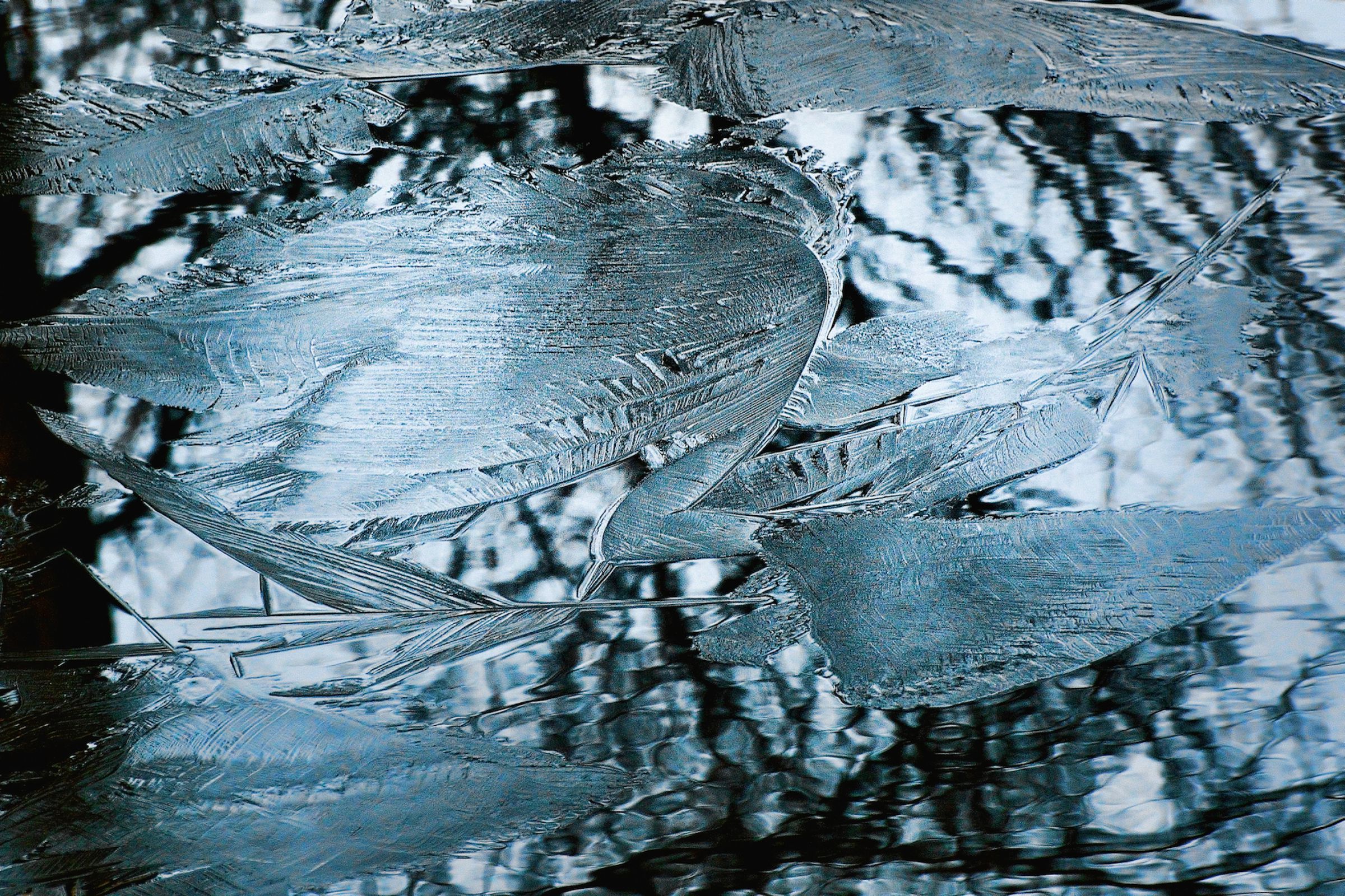 薄氷 〜飛翔〜 | GANREF