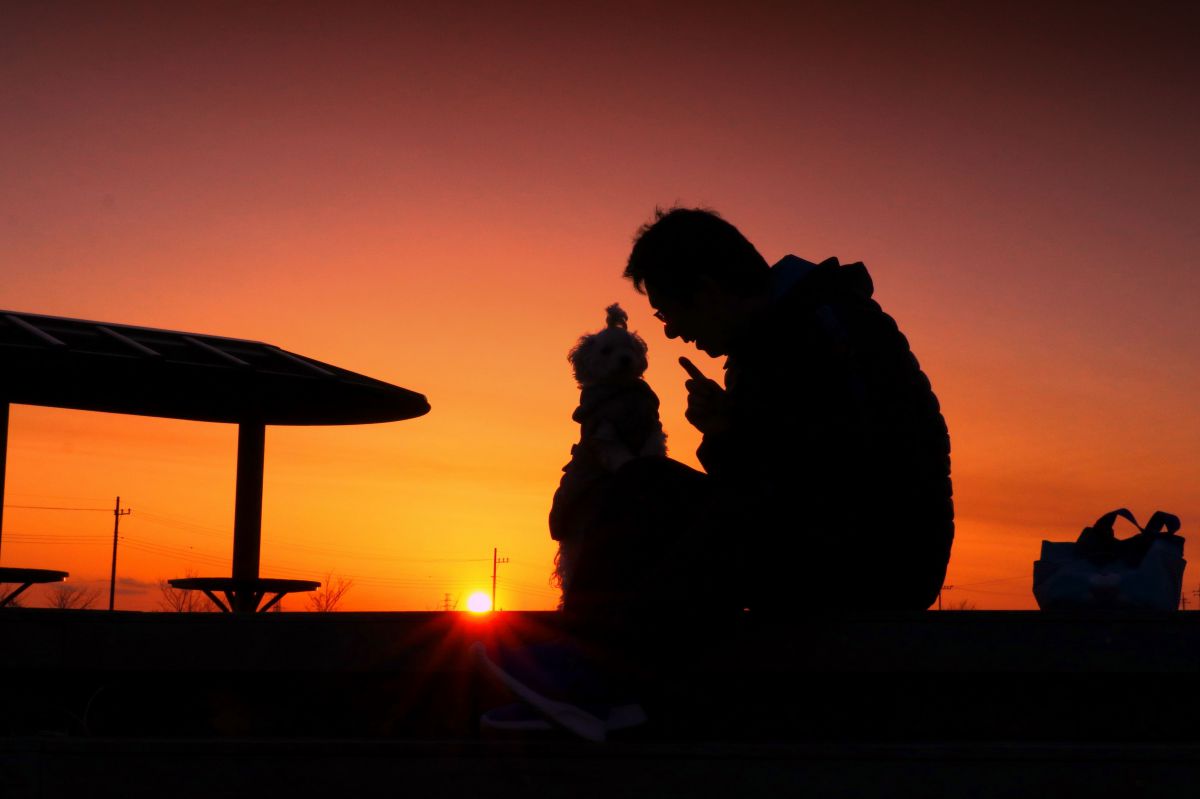 EF-S18-135mm F3.5-5.6 IS STMで撮影された写真 | 写真検索 | GANREF