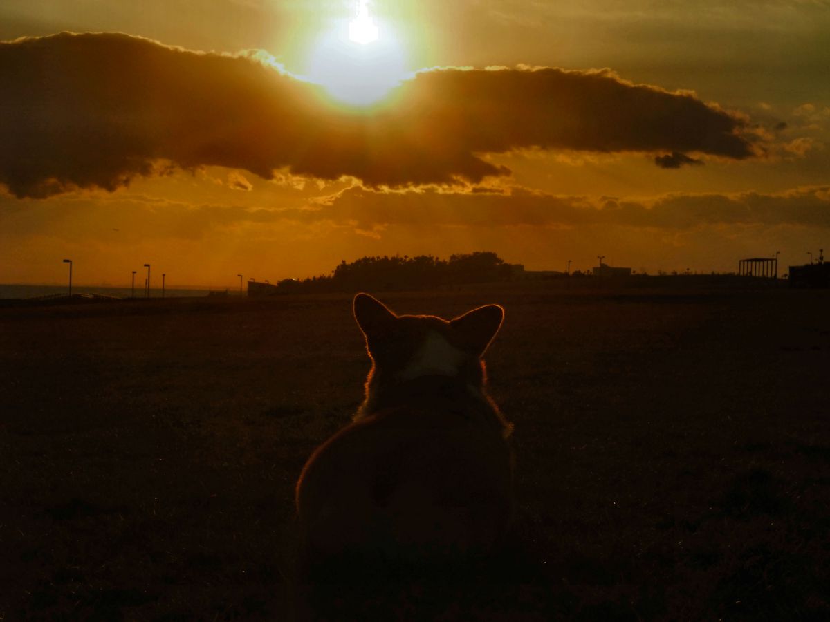 FinePix F100fdで撮影された写真 | 写真検索 | GANREF