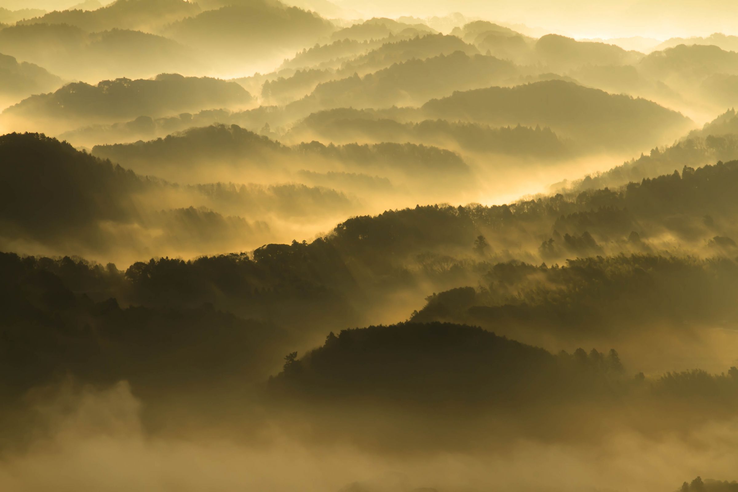 【真作】掛軸　里山の情景　霧深き故郷の風景画　自然と人の営み　情景美　Q51 真作】掛軸 里山の情景 霧深き故郷の風景画 自然と人の営み 情景