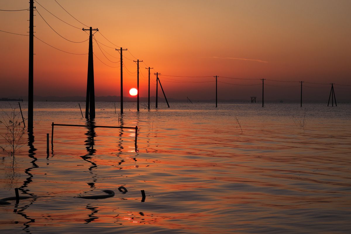 XF55-200mmF3.5-4.8 R LM OISで撮影された写真 | 写真検索 | GANREF