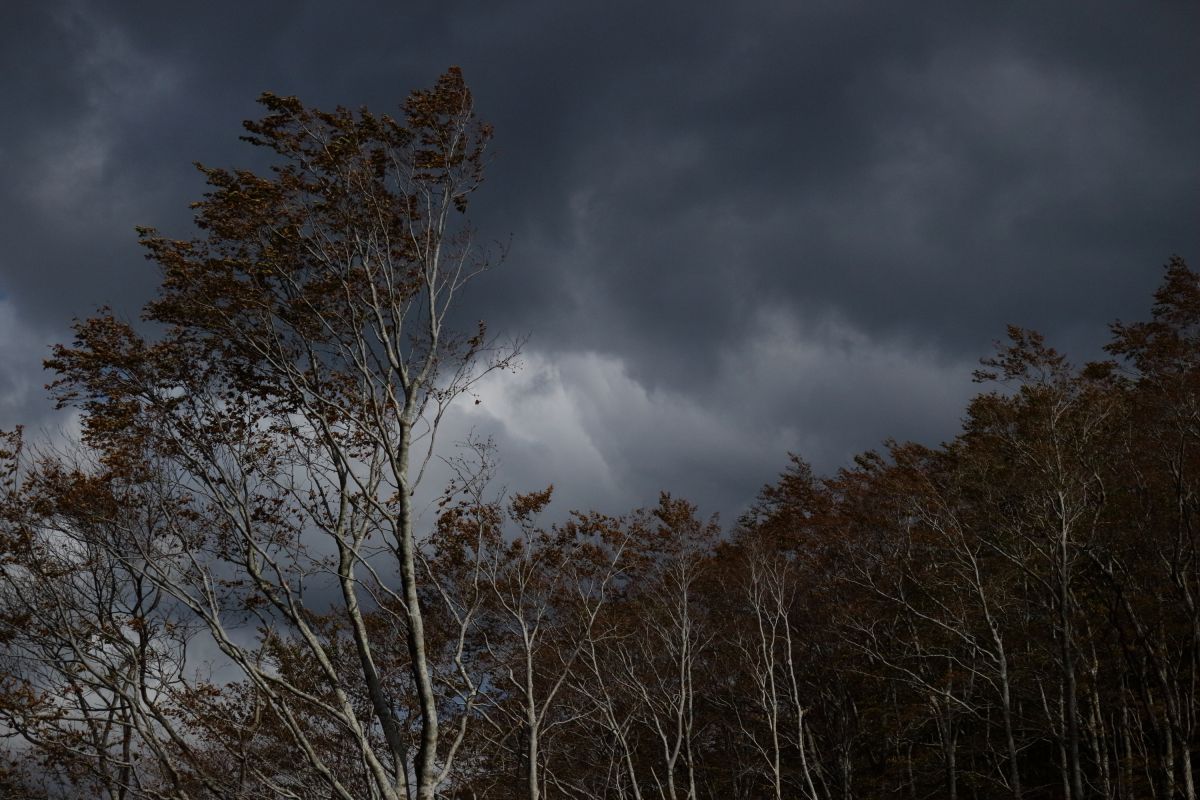 嵐の前触れ 自然 風景 高原 Ganref