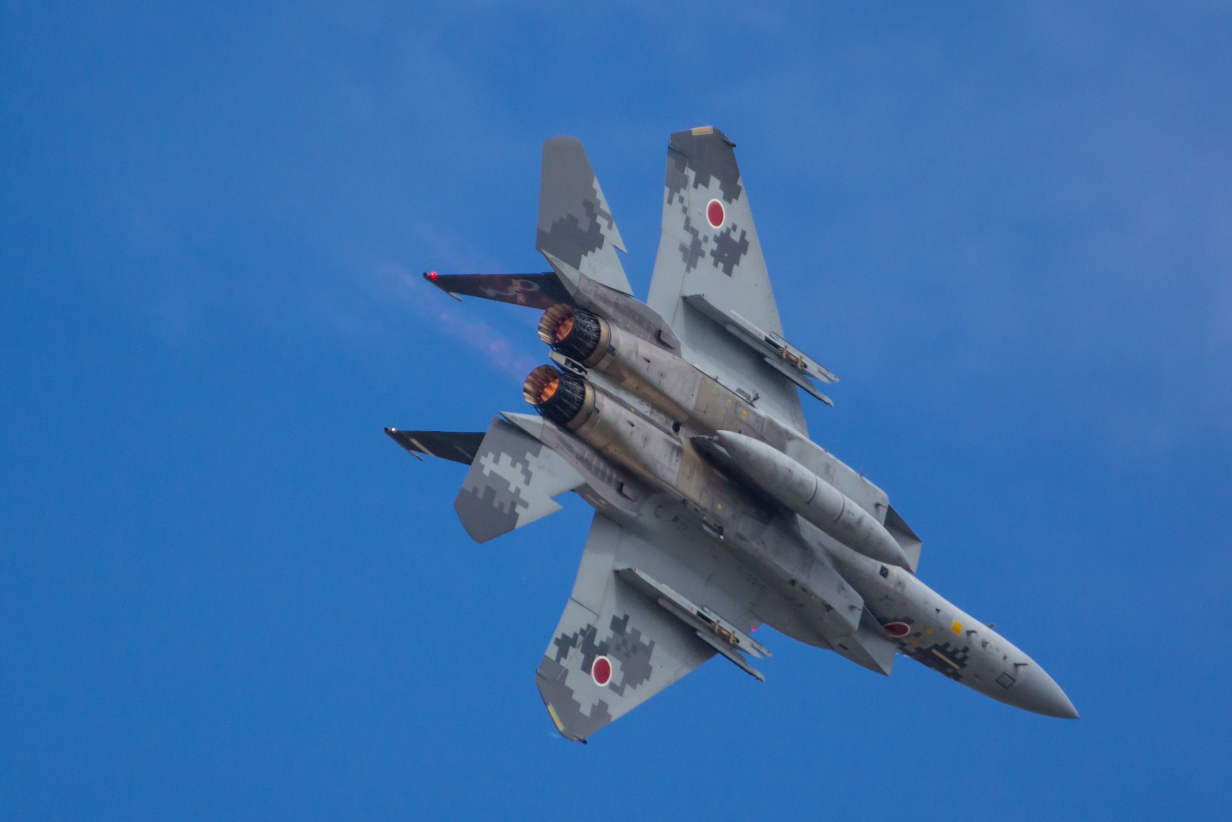 F-15 デジタル迷彩記念塗装バージョン | GANREF