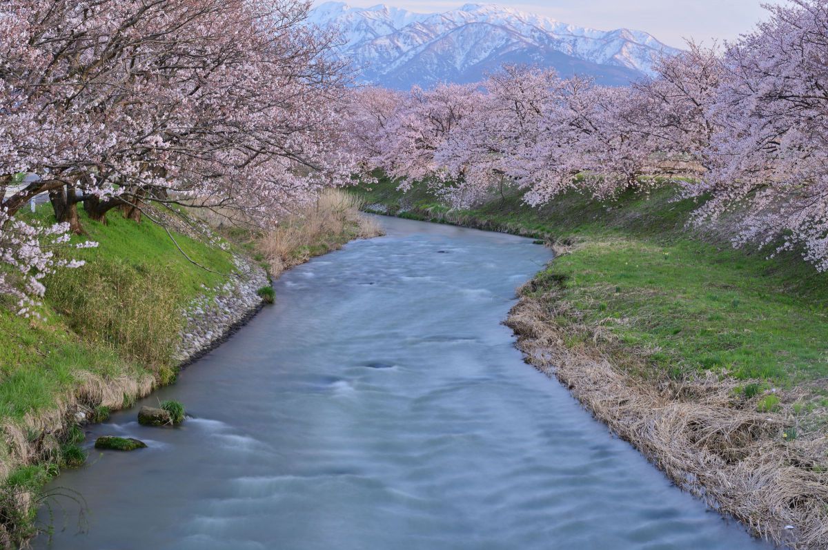 舟川の流れ GANREF