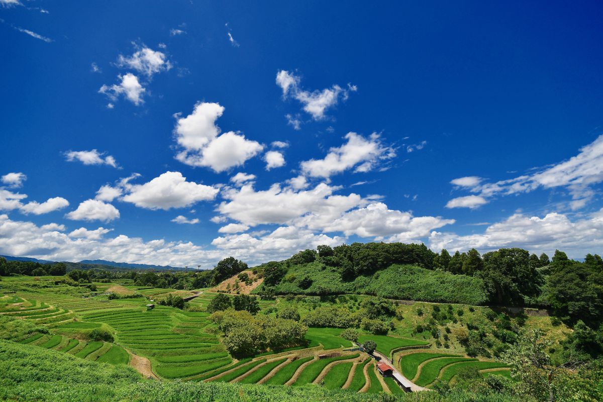 大阪府千早赤阪村 下赤阪の棚田へ Ganref