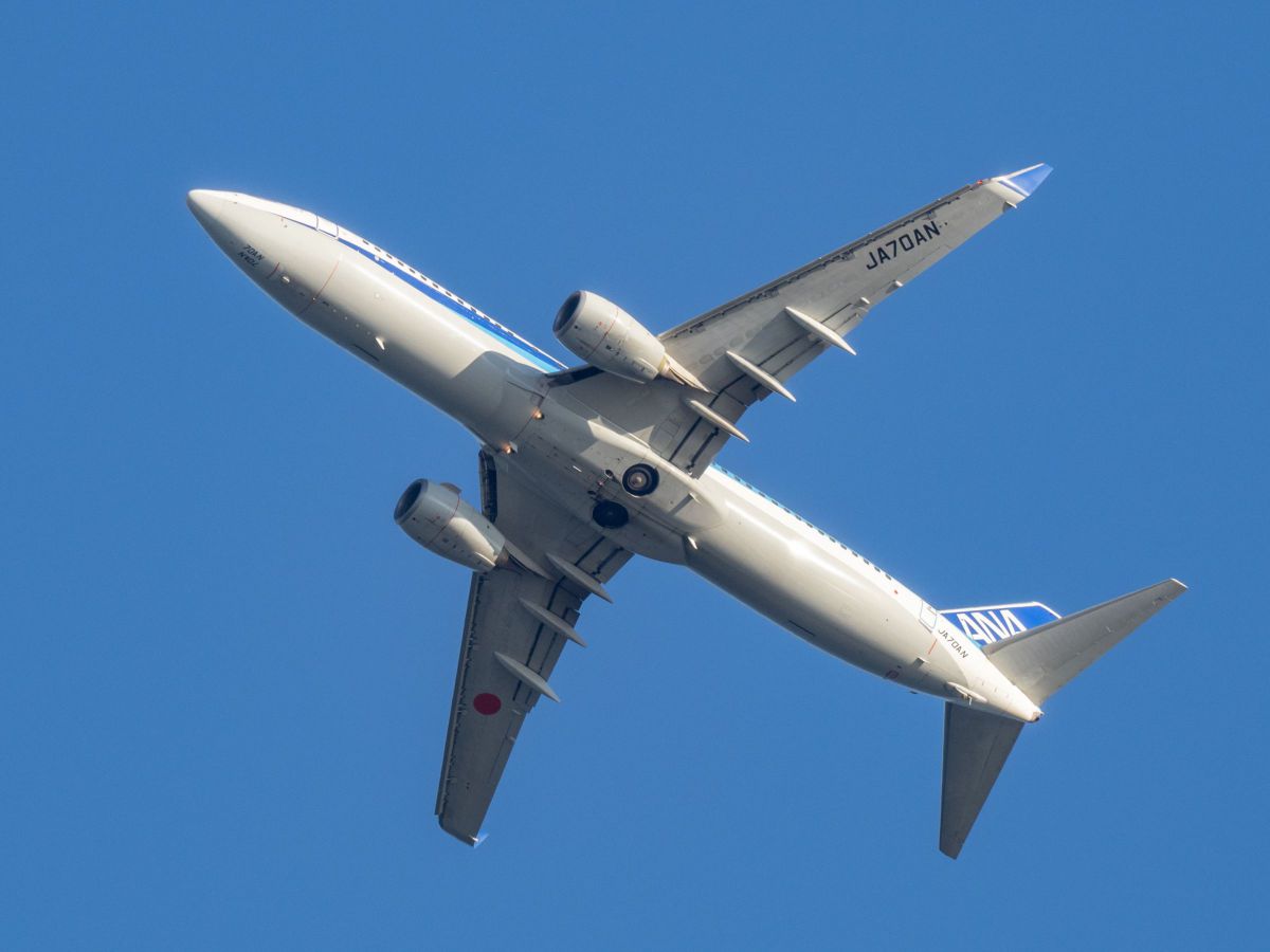 お腹見えちゃった 乗り物 交通 航空機 空港 Ganref