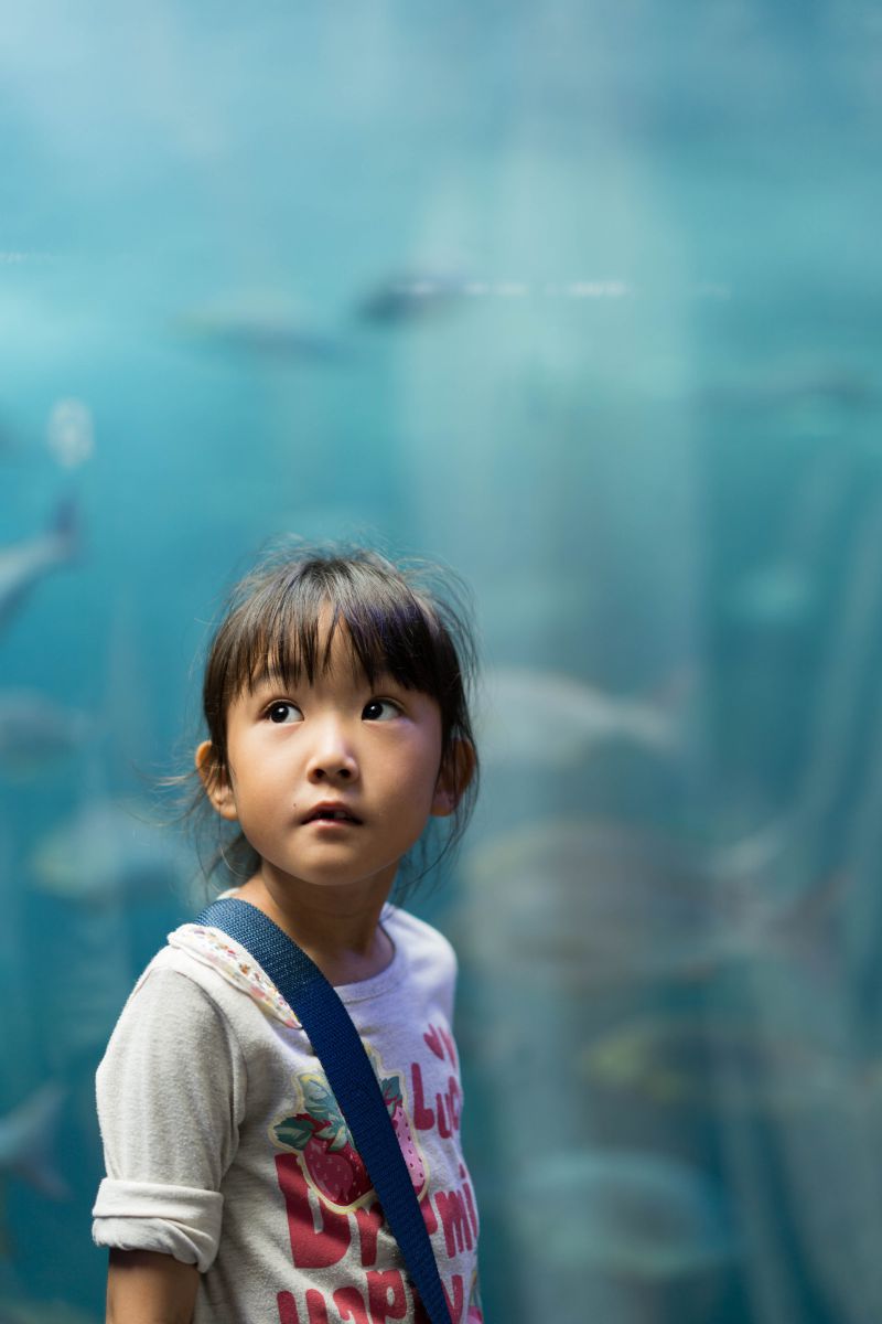 ✨️エモい写真撮れます✨️単焦点レンズ！Canon EF 40mm F2.8 STM ✨️エモい写真撮れます✨️単焦点レンズ！Canon EF 40mm F2.8 STM