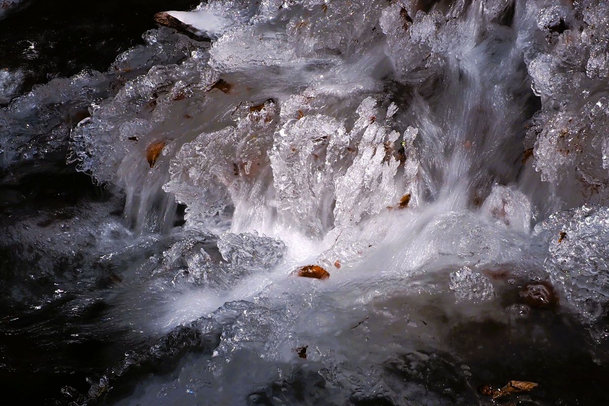 どこかで水がながれ~出す♪ | GANREF