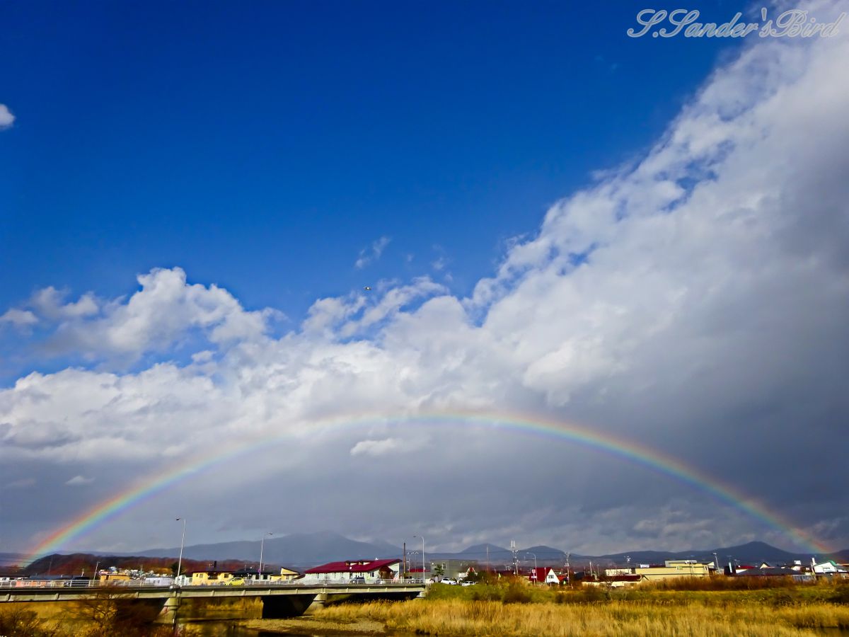 Cyber-shot DSC-WX350で撮影された写真 | 写真検索 | GANREF