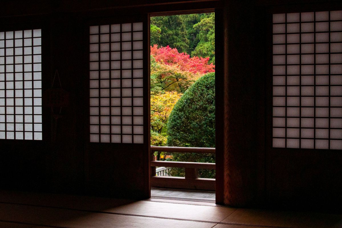 SIGMA 19mm F2.8 EX DNで撮影された写真 | 写真検索 | GANREF