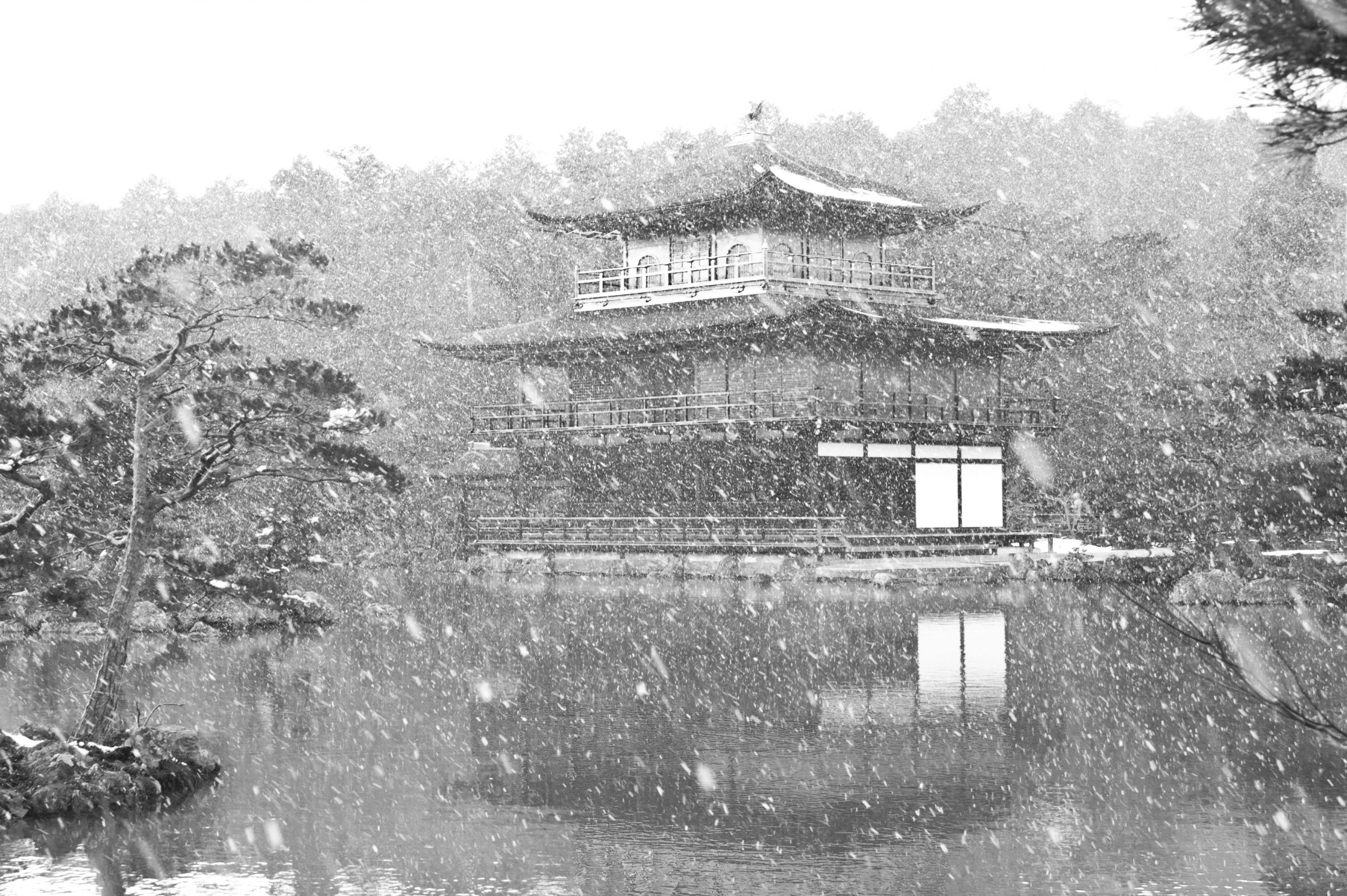 雪の金閣寺 | GANREF
