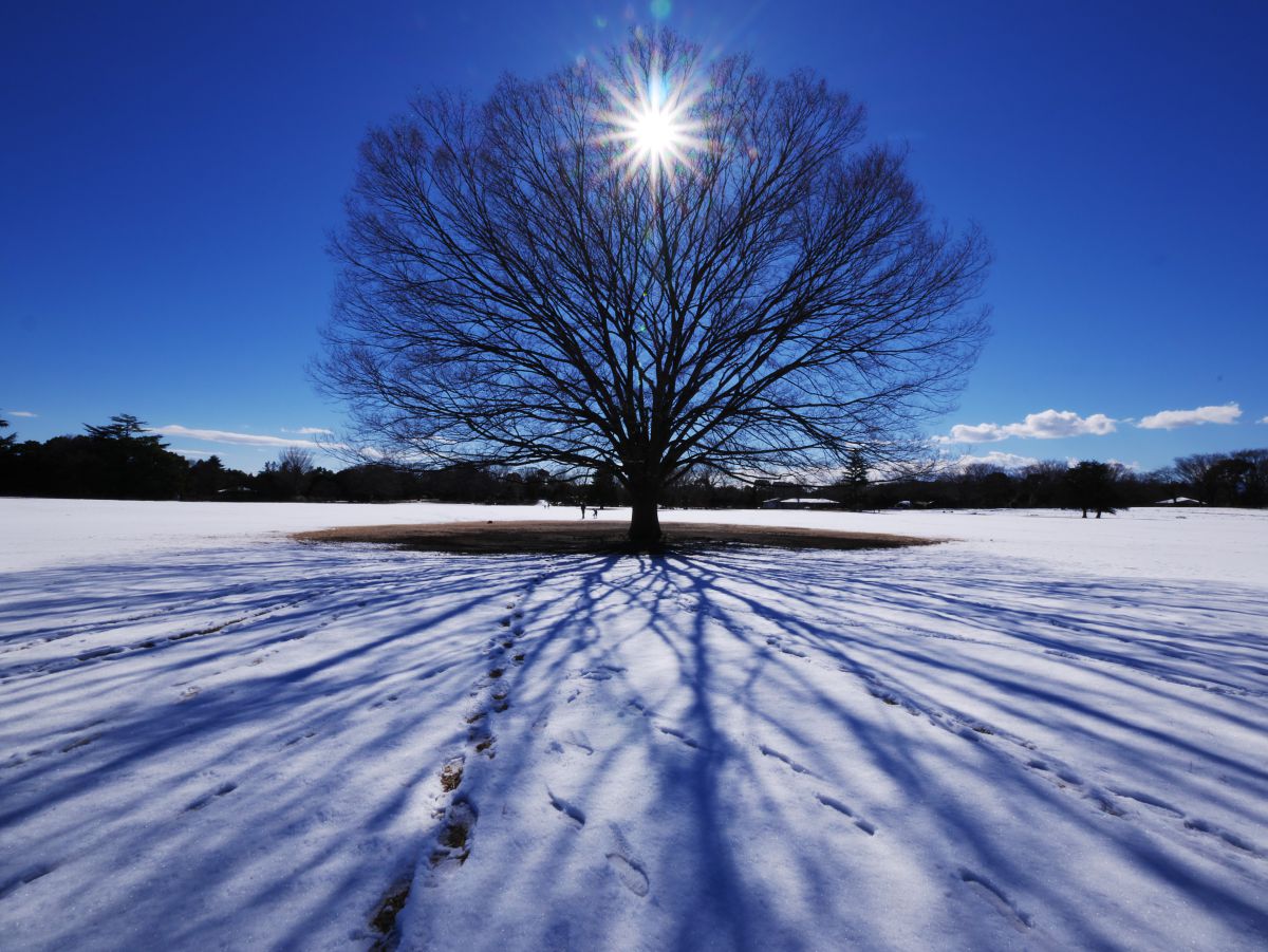 朧月　雪景色 良之 on X: 