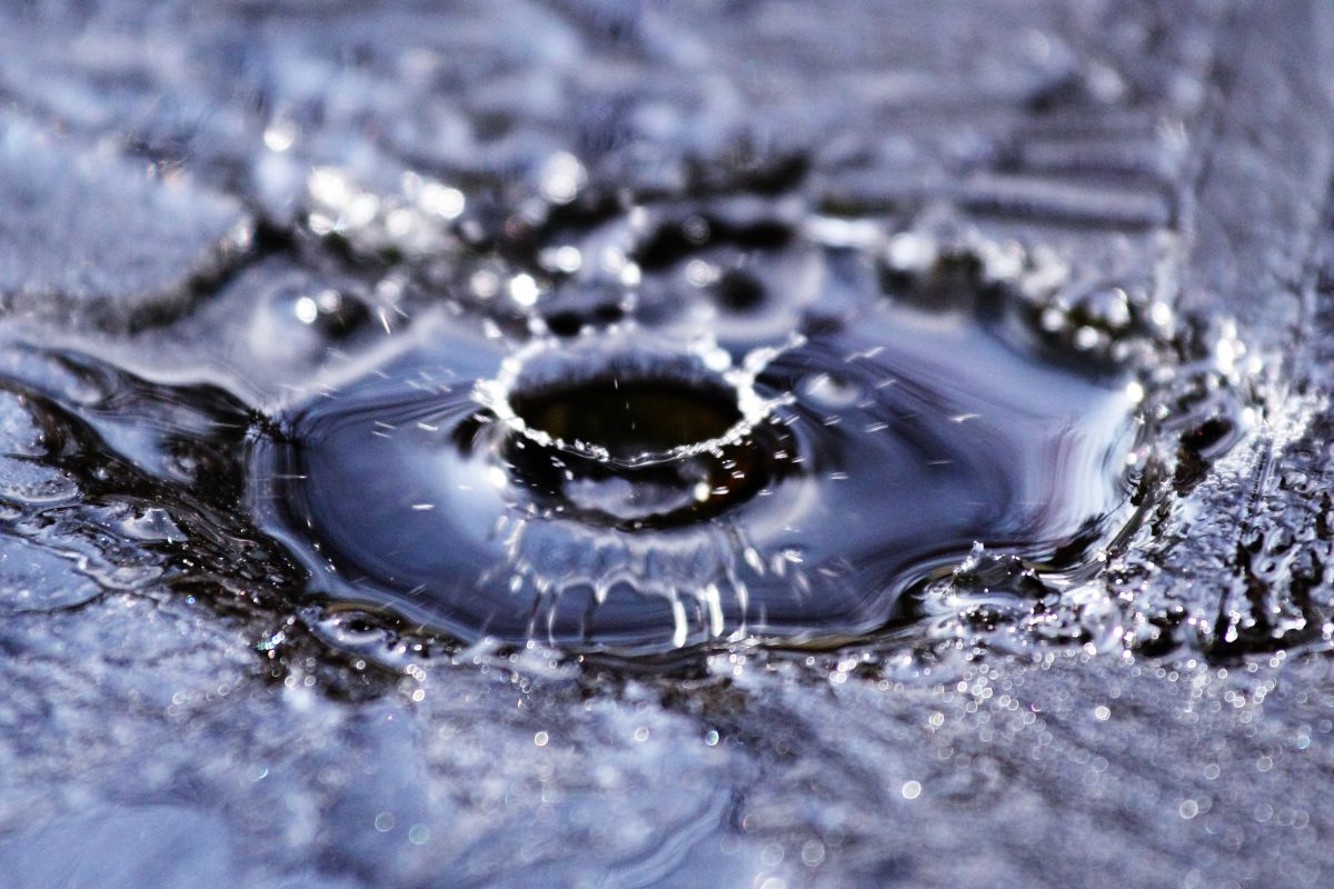 冬の王冠 自然 風景 水辺 Ganref