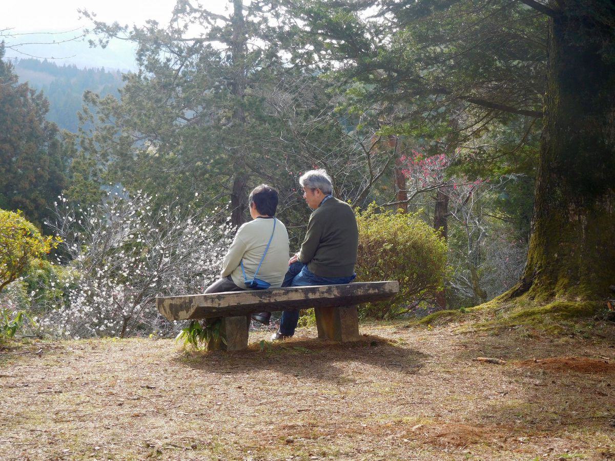 COOLPIX S7000で撮影された写真 | 写真検索 | GANREF