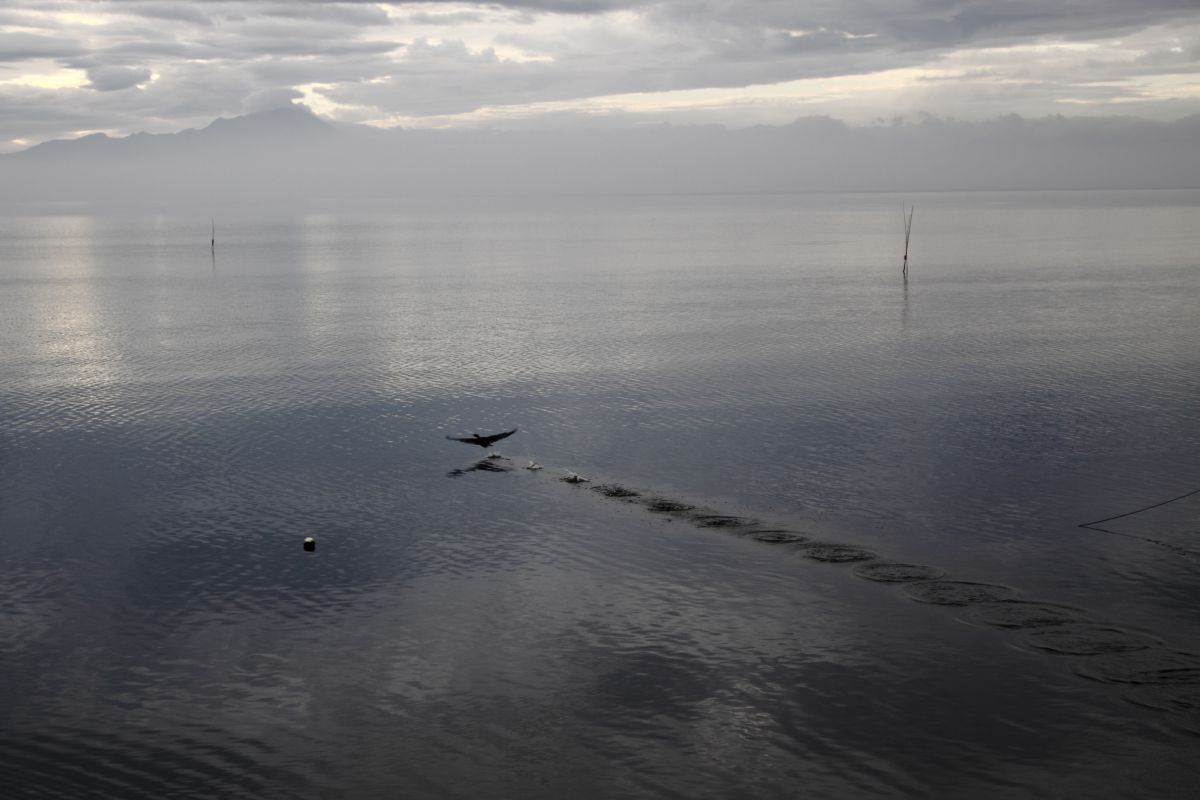 SP AF17-35mm F/2.8-4 Di LD Aspherical [IF]で撮影された写真 | 写真 