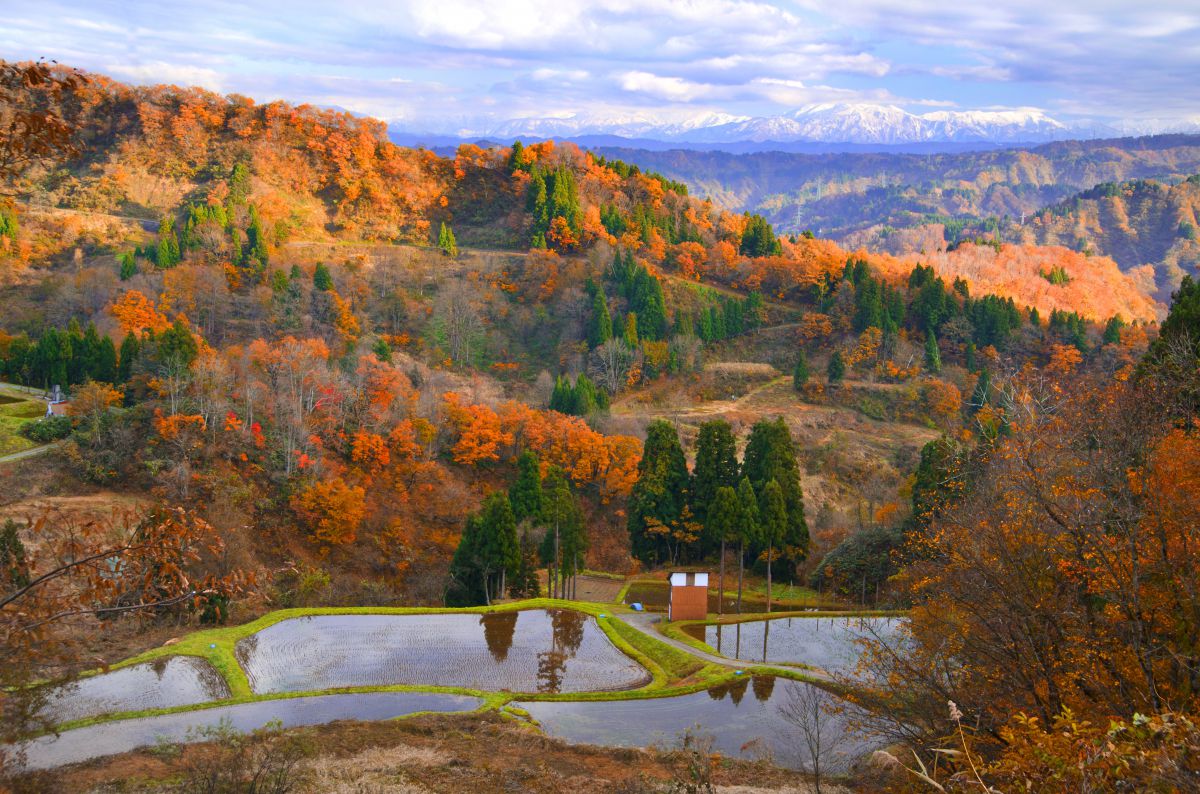 上越秋景色 自然 風景 山 Ganref