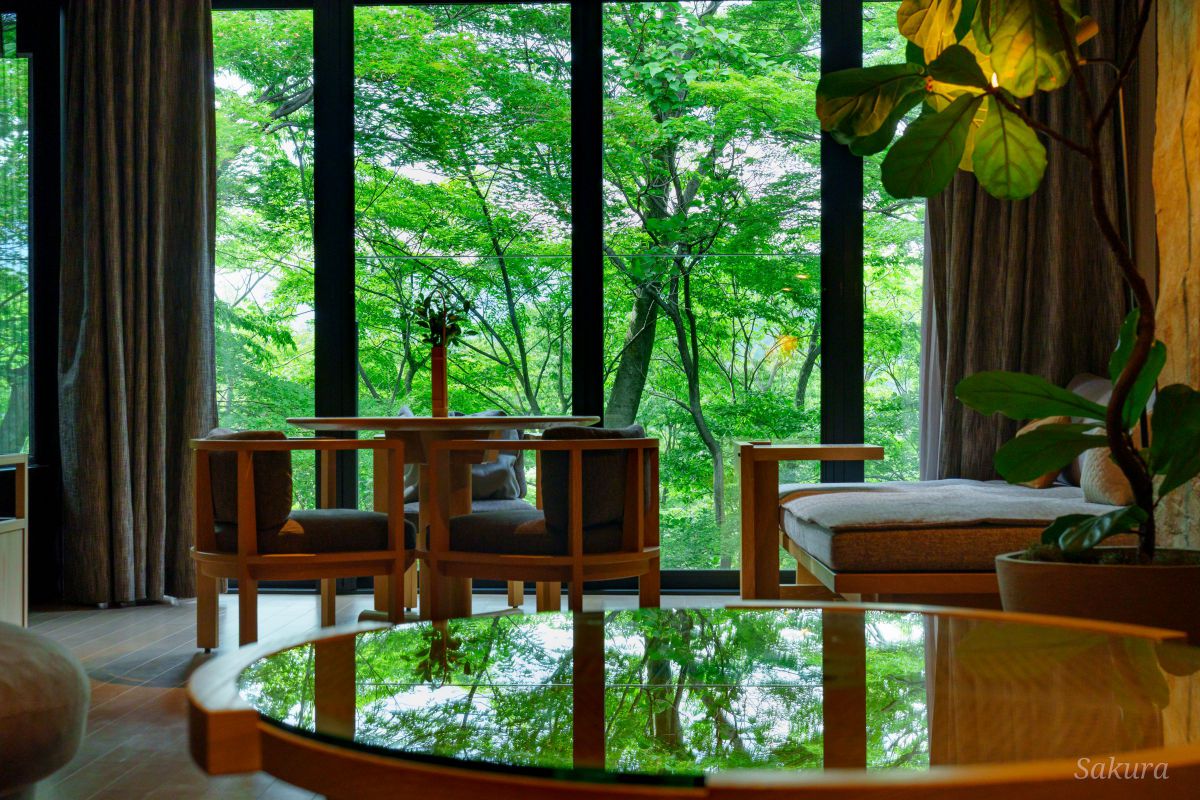 Green Reflection | GANREF