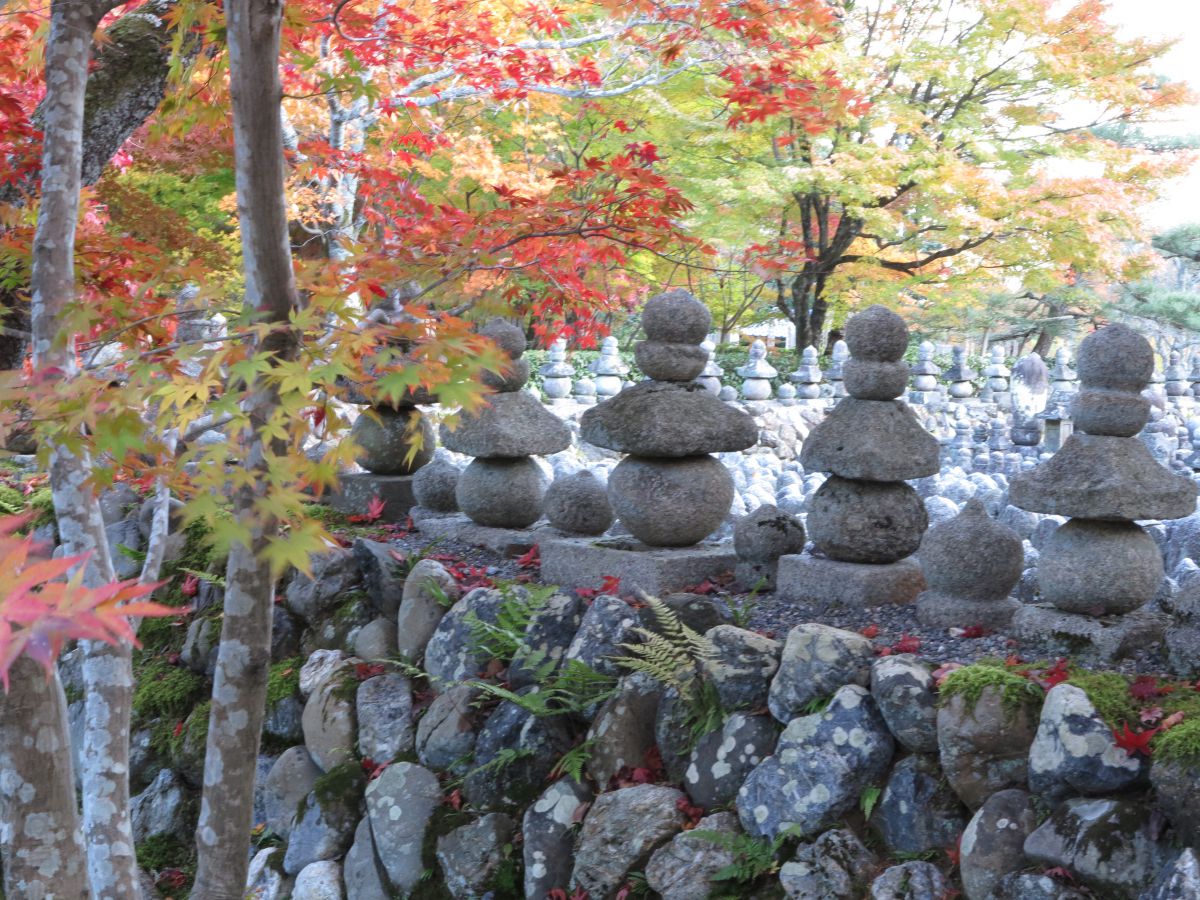 化野念仏寺 自然 風景 その他 Ganref