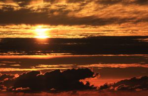 ec2e4c3ee04e725bddba130311abfb