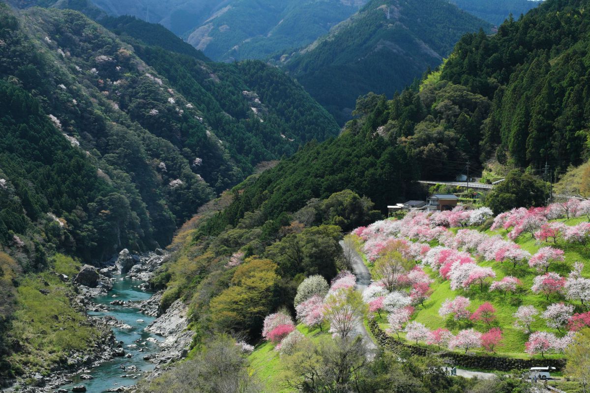18-50mm F2.8 DC DN | Contemporaryで撮影された写真 | 写真検索 | GANREF