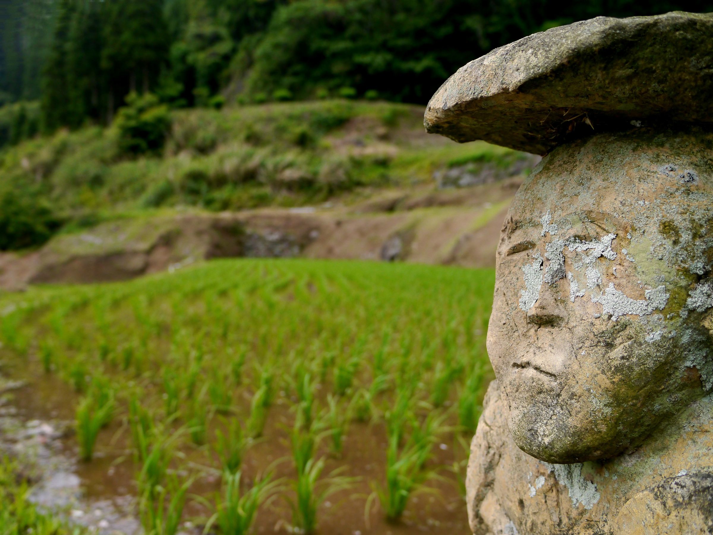 三人の田んぼの神さま 三人の田んぼの神さま