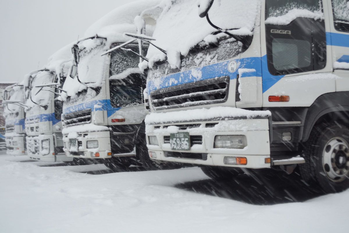 D3100で撮影された写真 | 写真検索 | GANREF