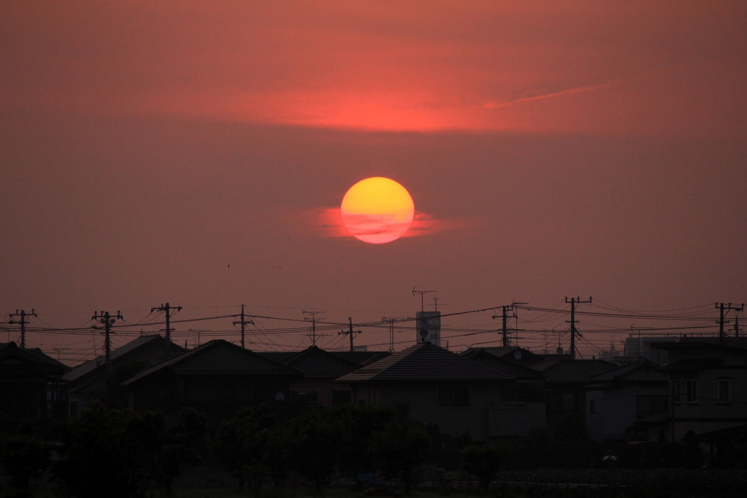 太陽が綺麗でした | GANREF