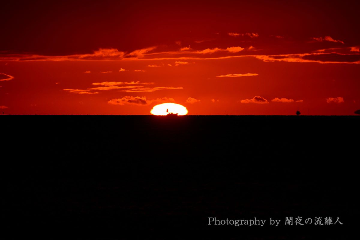 注目製品レビュー ニコン Z8＆超望遠レンズ【飛行機編】 vol.12 だるま