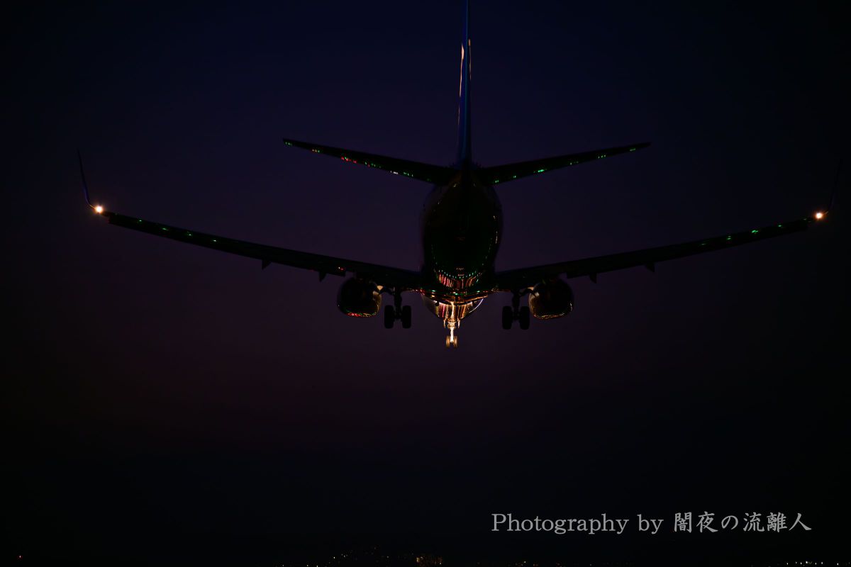 注目製品レビュー ニコン Z8＆超望遠レンズ【飛行機編】 vol.06