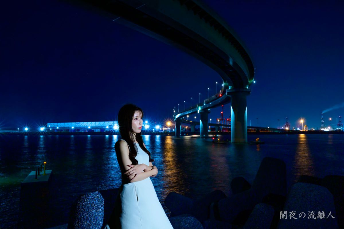 ニコンZ5II & Z6III」vol.09 やっと不満を見つけた～工場夜景とポート