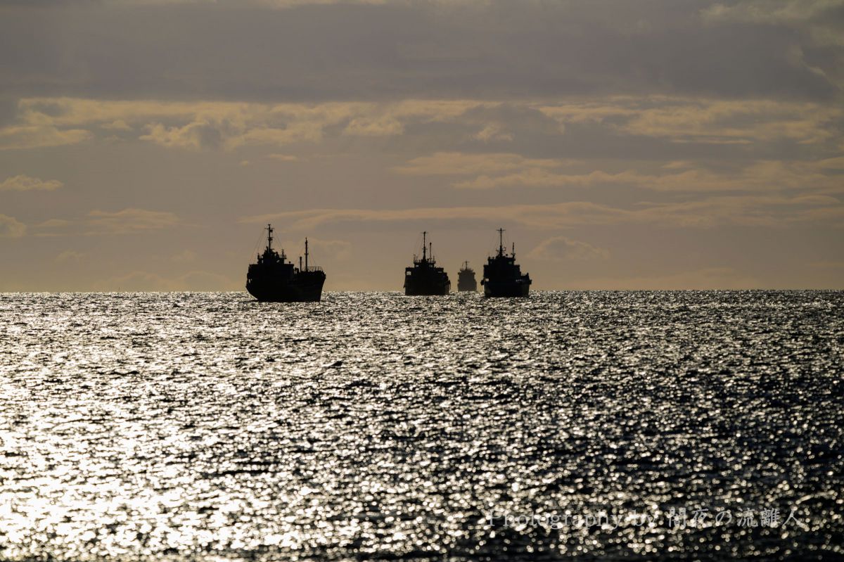 注目製品レビュー ニコン Z8＆超望遠レンズ【飛行機編】 vol.12 だるま